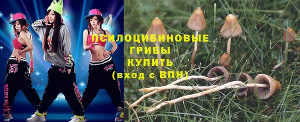 экстази Белокуриха
