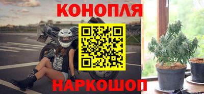 гидропоника Канаш