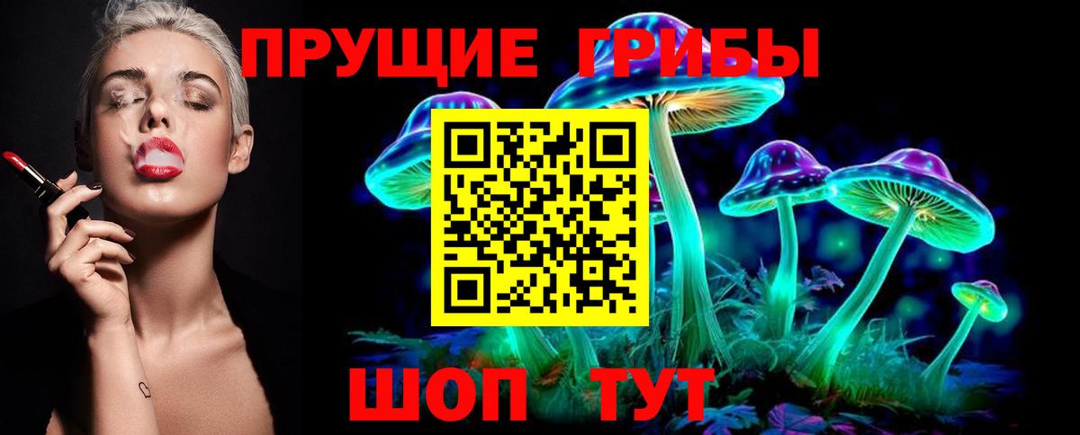 Псилоцибиновые грибы GOLDEN TEACHER Кунгур